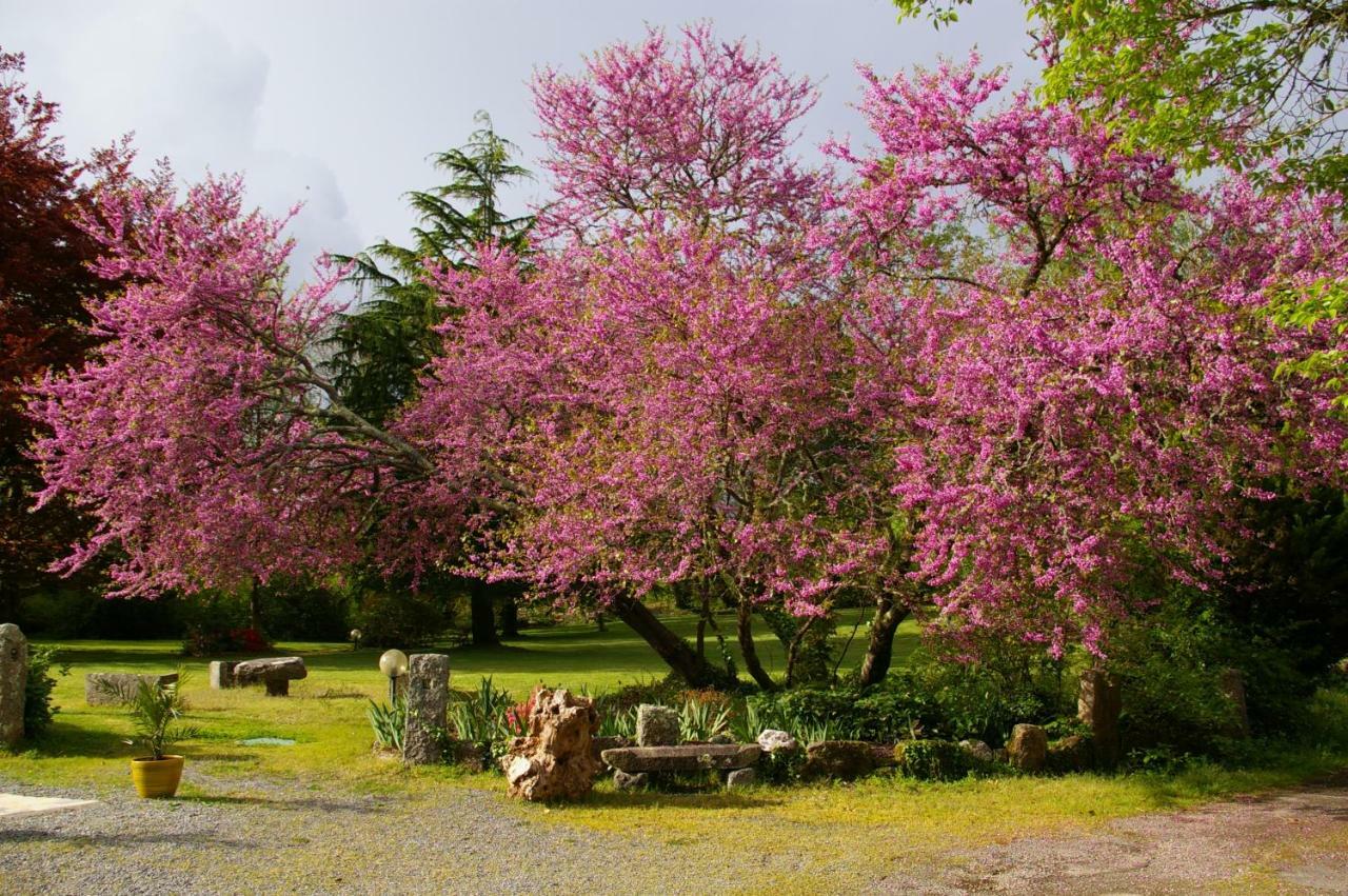 Domaine Les Grandes Roches Bed and Breakfast Trégunc Εξωτερικό φωτογραφία