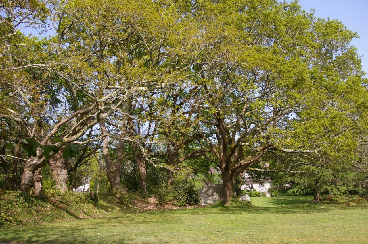 Domaine Les Grandes Roches Bed and Breakfast Trégunc Εξωτερικό φωτογραφία