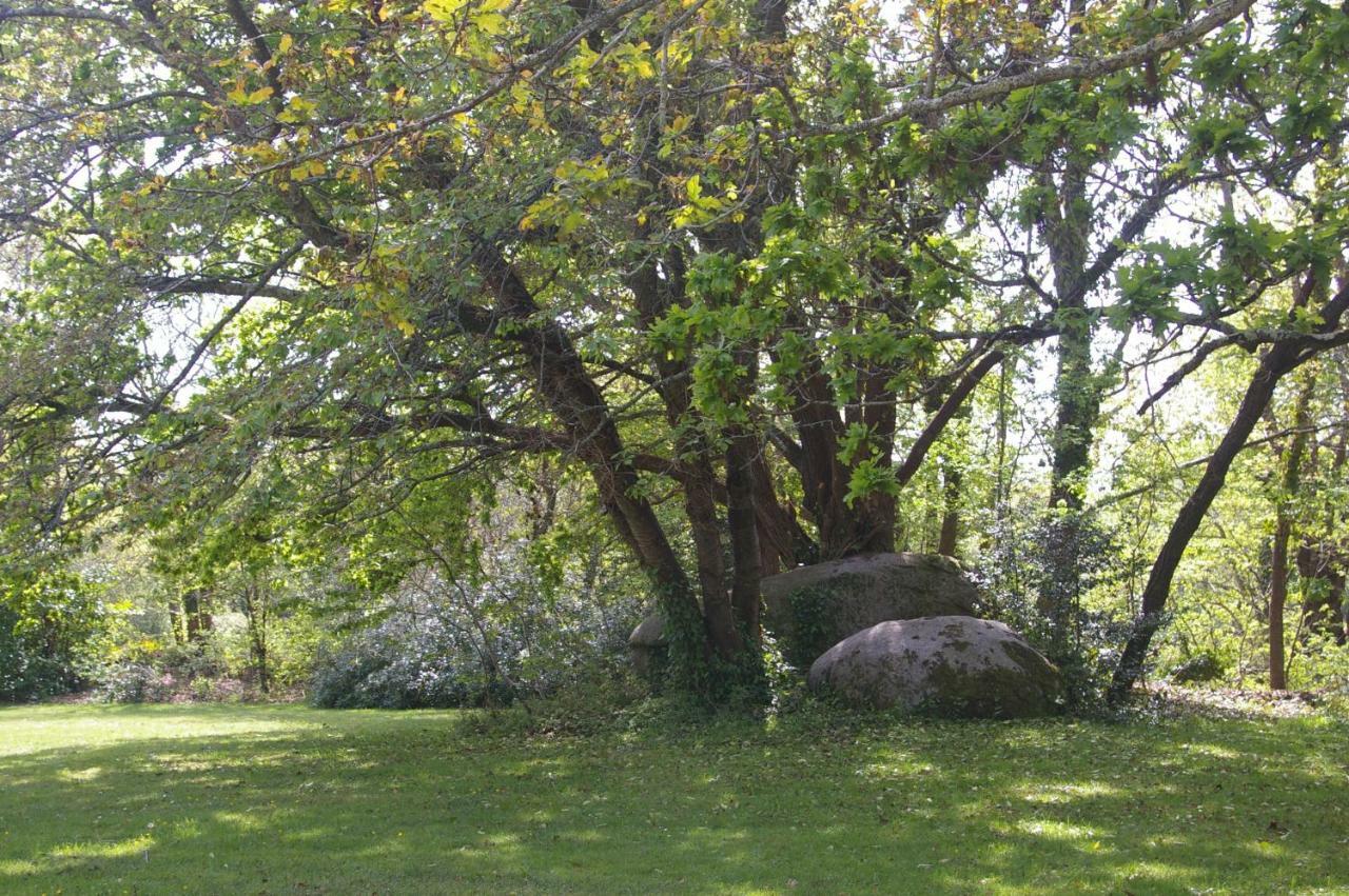 Domaine Les Grandes Roches Bed and Breakfast Trégunc Εξωτερικό φωτογραφία